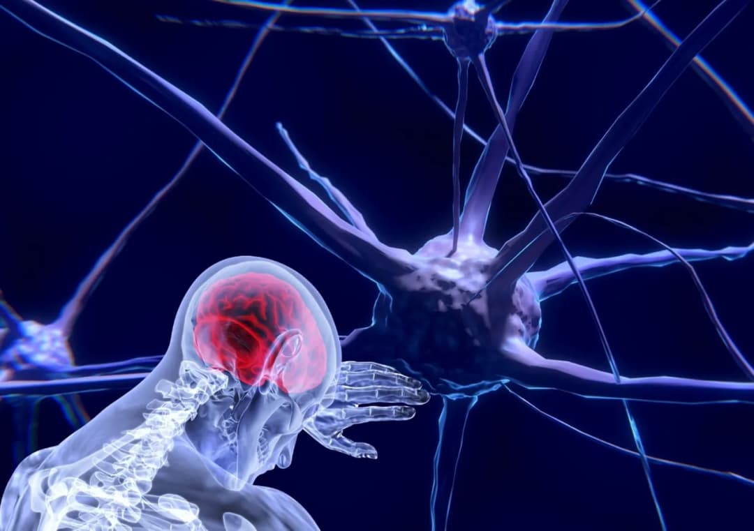 Rehabilitacja neurologiczna - co to jest i jak może zmienić życie?